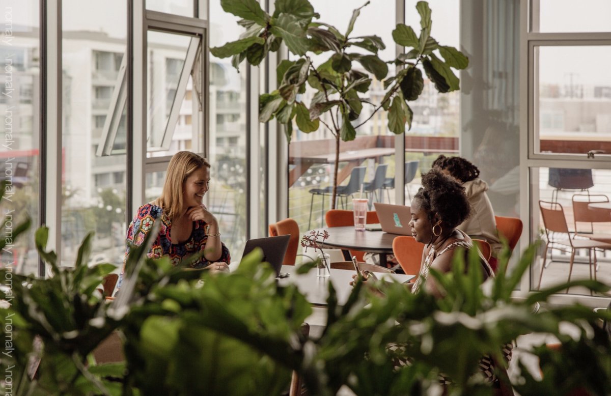 LA Office - New.005.jpeg